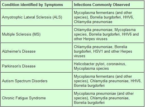 lien maladies-bactéries